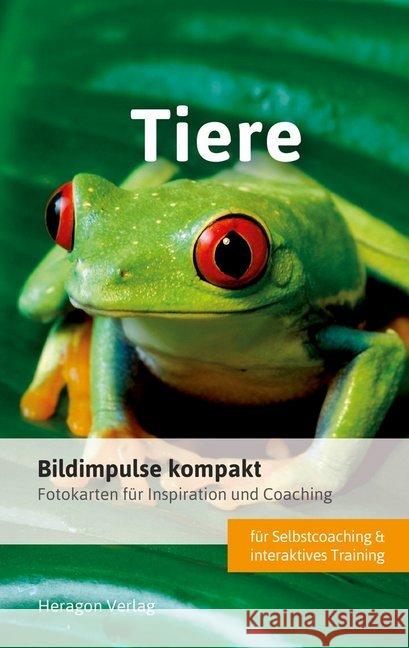 Bildimpulse kompakt: Tiere : Fotokarten für Inspiration und Coaching Pack, Bodo 9783942805834 Heragon - książka