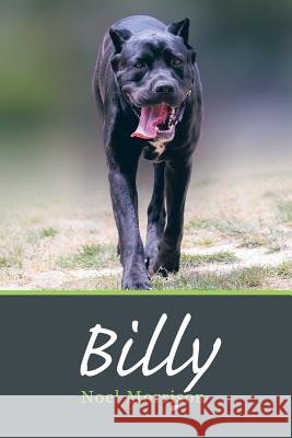 Billy Noel Morrison 9781452531427 Balboa Press Australia - książka