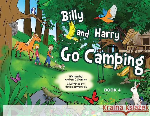 Billy and Harry Go Camping Andrew Crossley 9781925949155 Busybird Publishing - książka