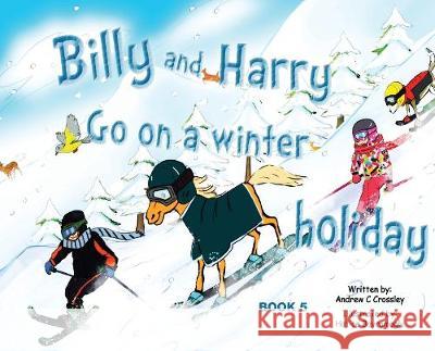 Billy and Harry Go on a Winter Holiday Andrew Crossley 9781925949445 Busybird Publishing - książka