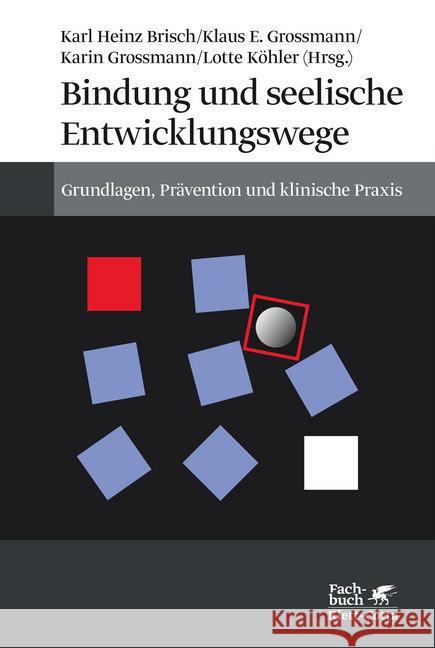 Bindung und seelische Entwicklungswege : Grundlagen, Prävention und klinische Praxis  9783608961867 Klett-Cotta - książka