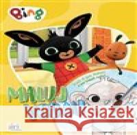 Bing - Maluj vodou A4  8595593845364 Jiri models - książka