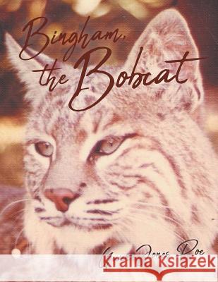 Bingham the Bobcat Gwen Poe 9781644242476 Page Publishing, Inc. - książka