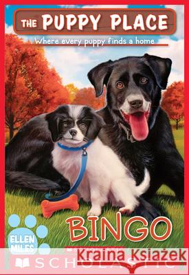Bingo (the Puppy Place #65) Ellen Miles 9781338781885 Scholastic Paperbacks - książka