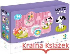 Bingo Zwierzęta  4820198241704 Dodo - książka