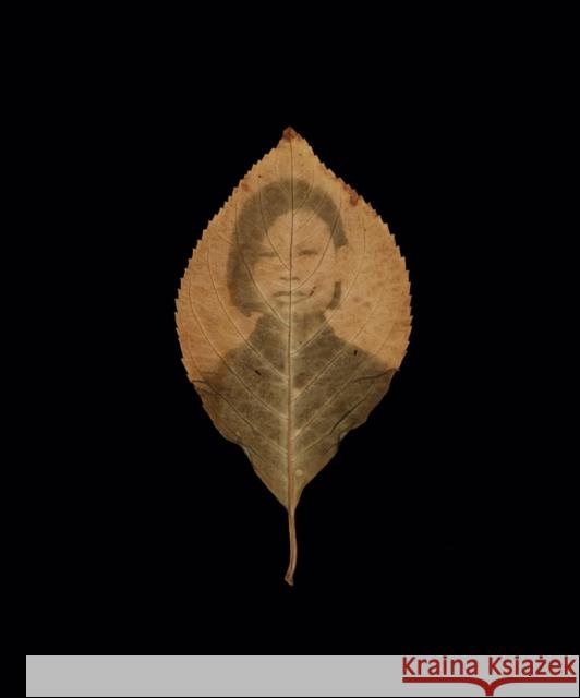 Binh Danh: The Enigma of Belonging  9781955161039 Radius Books - książka