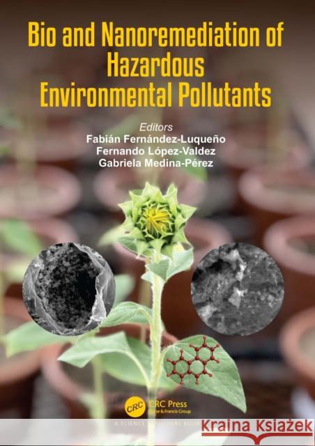 Bio and Nanoremediation of Hazardous Environmental Pollutants Fabi?n Fern?ndez Luque?o Fernando L?pez-Valdez Gabriela Medina P?rez 9780367512392 Taylor & Francis Ltd - książka