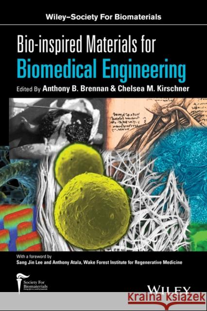 Bio-Inspired Materials for Biomedical Engineering Brennan, Anthony B. 9781118369364 John Wiley & Sons - książka