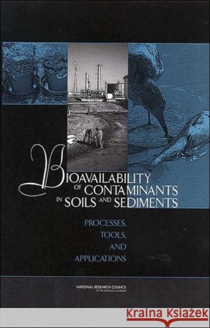 Bioavailability of Contaminants in Soils and Sediments: Processes, Tools, and Applications National Research Council 9780309086257 National Academy Press - książka