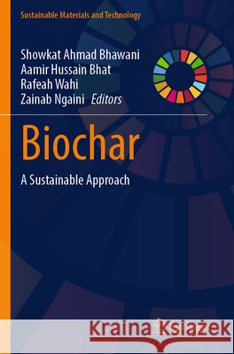 Biochar  9789819742547 Springer Nature Singapore - książka