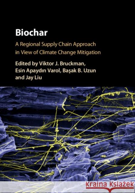 Biochar: A Regional Supply Chain Approach in View of Climate Change Mitigation Viktor Bruckman Jay Liu Basak Uzun 9781107117099 Cambridge University Press - książka