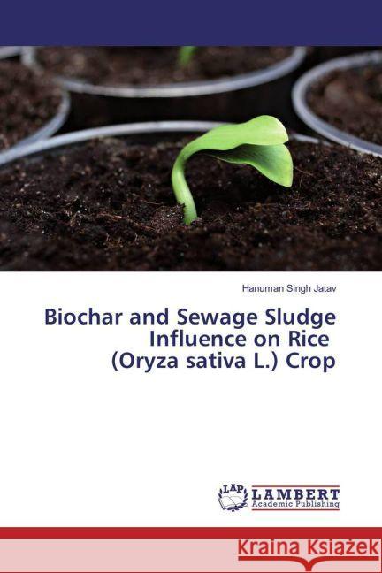 Biochar and Sewage Sludge Influence on Rice (Oryza sativa L.) Crop Jatav, Hanuman Singh 9783330085398 LAP Lambert Academic Publishing - książka