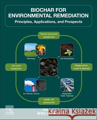 Biochar for Environmental Remediation: Principles, Applications, and Prospects Gwenzi, Willis 9780323998895 Elsevier - Health Sciences Division - książka