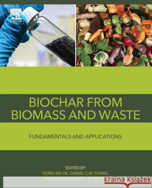 Biochar from Biomass and Waste: Fundamentals and Applications Yong Sik Ok 9780128117293 Elsevier - książka