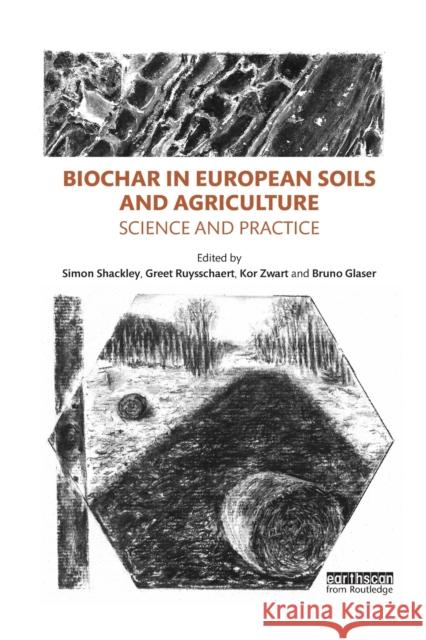 Biochar in European Soils and Agriculture: Science and Practice Simon Shackley Greet Ruysschaert Kor Zwart 9780367606046 Routledge - książka