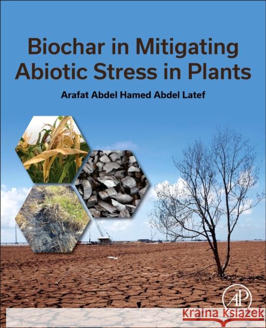 Biochar in Mitigating Abiotic Stress in Plants Arafat Abdel Hamed Abde 9780443241376 Academic Press - książka