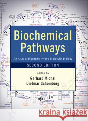 Biochemical Pathways 2e Michal, Gerhard 9780470146842  - książka