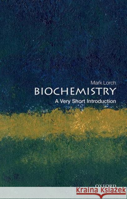 Biochemistry: A Very Short Introduction Mark Lorch 9780198833871 Oxford University Press - książka