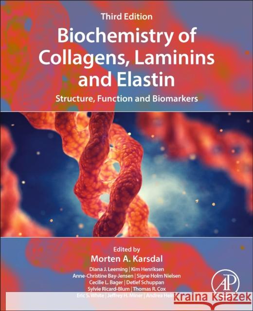 Biochemistry of Collagens, Laminins and Elastin: Structure, Function and Biomarkers Morten Karsdal 9780443156175 Elsevier Science Publishing Co Inc - książka