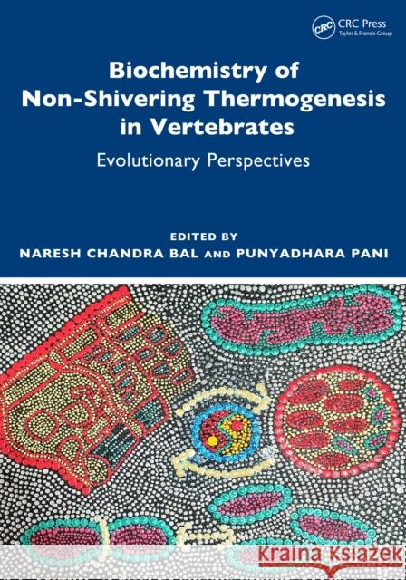 Biochemistry of Non-Shivering Thermogenesis in Vertebrates: Evolutionary Perspectives Naresh Chandra Bal Punyadhara Pani 9781032456348 CRC Press - książka