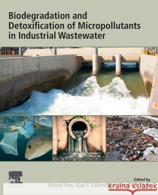 Biodegradation and Detoxification of Micropollutants in Industrial Wastewater Maulin P. Shah Izharul Haq Ajay Kalamdhad 9780323885072 Elsevier - książka