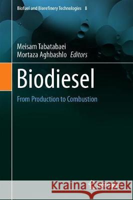 Biodiesel: From Production to Combustion Tabatabaei, Meisam 9783030009847 Springer - książka