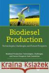 Biodiesel Production: Technologies, Challenges, and Future Prospects Biodiesel Production: Technologies, Chal R. D. Tyagi Rao Y Surampalli 9780784415344 American Society of Civil Engineers