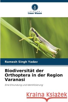 Biodiversität der Orthoptera in der Region Varanasi Yadav, Ramesh Singh 9786207827633 Verlag Unser Wissen - książka