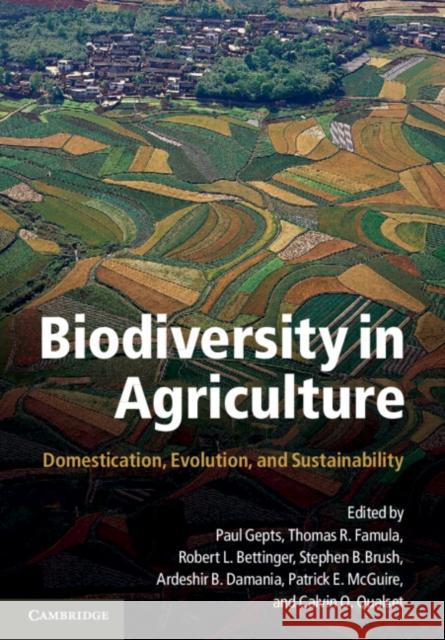 Biodiversity in Agriculture: Domestication, Evolution, and Sustainability Gepts, Paul 9780521170871  - książka