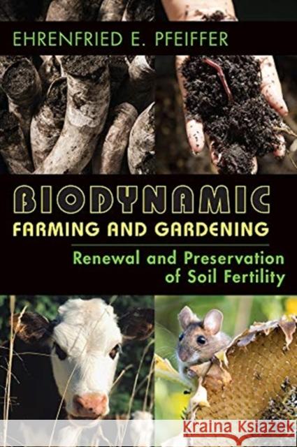 Biodynamic Farming and Gardening: Renewal and Preservation of Soil Fertility Ehrenfried E. Pfeiffer 9781938685293 Portal Books - książka