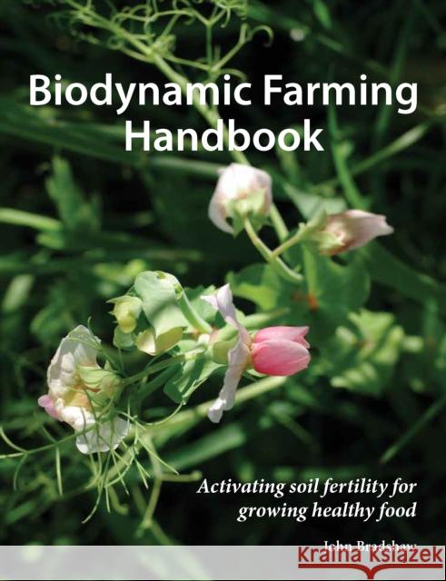 Biodynamic Farming Handbook: Activating soil fertility for growing healthy food John Bradshaw 9781912480937 Hawthorn Press - książka