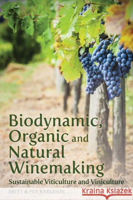 Biodynamic, Organic and Natural Winemaking: Sustainable Viticulture and Viniculture Britt and Per Karlsson, Roger Tanner 9781782501138 Floris Books - książka