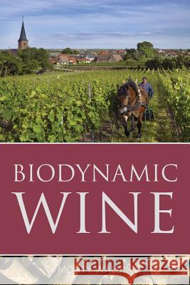 Biodynamic wine Waldin, Monty 9781908984814 Infinite Ideas - książka