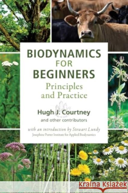 Biodynamics for Beginners: Principles and Practice Hugh J. Courtney 9781938685415 Portal Books - książka