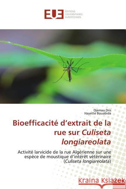 Bioefficacité d'extrait de la rue sur Culiseta longiareolata : Activité larvicide de la rue Algérienne sur une espèce de moustique d'intérêt vétérinaire (Culiseta longiareolata) Dris, Djemaa; Bouabida, Hayette 9786202534185 Éditions universitaires européennes - książka