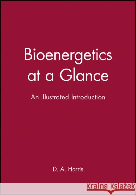 Bioenergetics at a Glance: An Illustrated Introduction Harris, D. a. 9780632023882 BLACKWELL SCIENCE LTD - książka