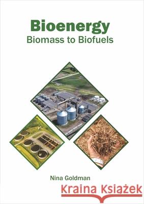 Bioenergy: Biomass to Biofuels Nina Goldman 9781682867594 Syrawood Publishing House - książka