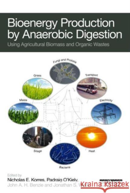 Bioenergy Production by Anaerobic Digestion: Using Agricultural Biomass and Organic Wastes Korres, Nicholas 9780415698405 Earthscan Publications - książka