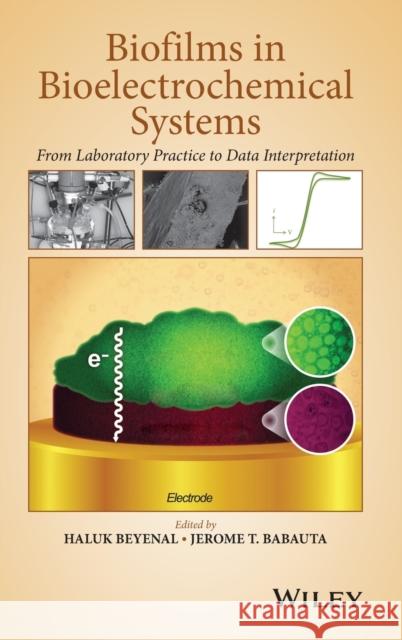 Biofilms in Bioelectrochemical Systems: From Laboratory Practice to Data Interpretation Beyenal, Haluk 9781118413494 John Wiley & Sons - książka