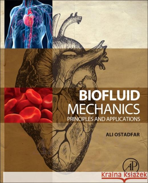 Biofluid Mechanics: Principles and Applications Ostadfar, Ali 9780128024089 ACADEMIC PRESS - książka