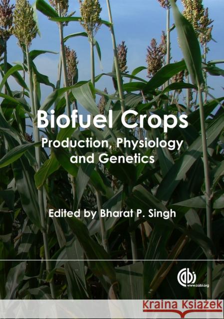 Biofuel Crops : Production, Physiology and Genetics Bharat P Singh 9781845938857  - książka