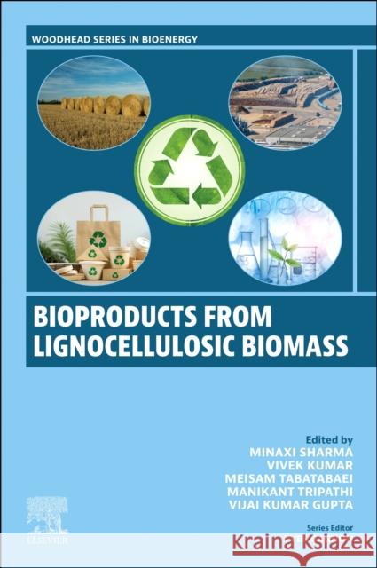 Biofuels and Bioproducts from Lignocellulosic Materials: Volume 1: Bioproducts  9780443216046 Woodhead Publishing - książka