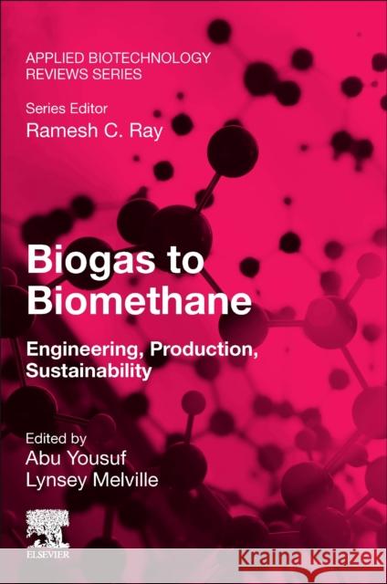 Biogas to Biomethane  9780443184796 Elsevier - Health Sciences Division - książka