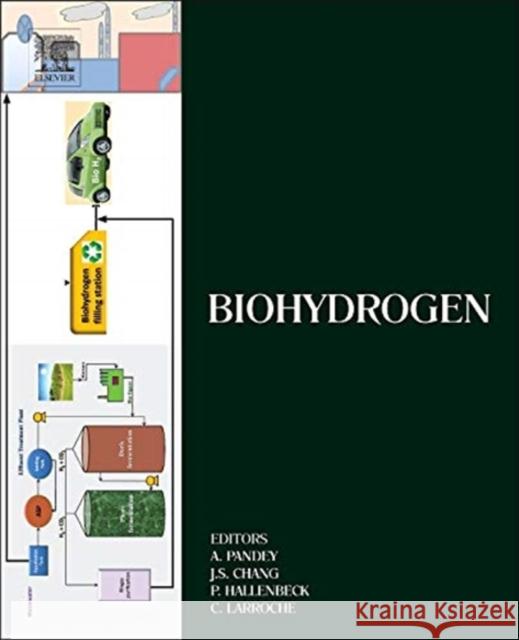 Biohydrogen Ashok Pandey 9780444595553  - książka
