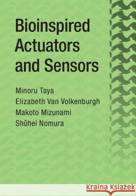 Bioinspired Actuators and Sensors Minoru Taya Makoto Mizunami Shuhei Nomura 9781107065383 Cambridge University Press - książka