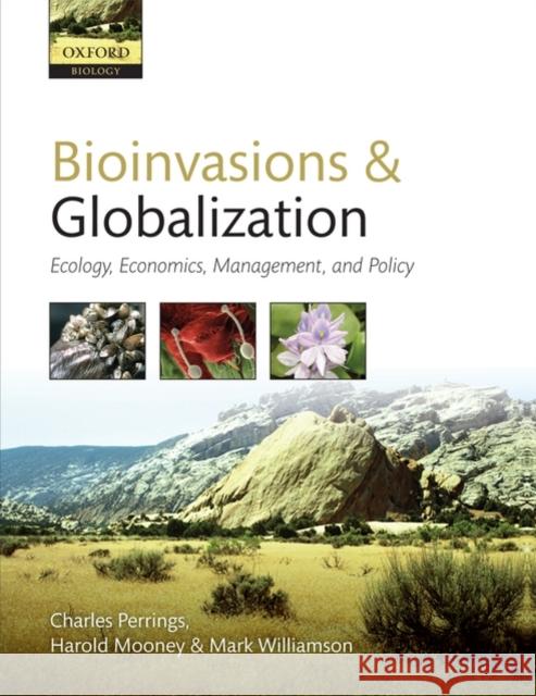 Bioinvasions and Globalization: Ecology, Economics, Management, and Policy Perrings, Charles 9780199560158 Oxford University Press, USA - książka