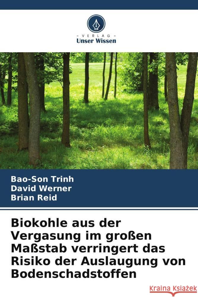 Biokohle aus der Vergasung im großen Maßstab verringert das Risiko der Auslaugung von Bodenschadstoffen Trinh, Bao-Son, Werner, David, Reid, Brian 9786205728253 Verlag Unser Wissen - książka