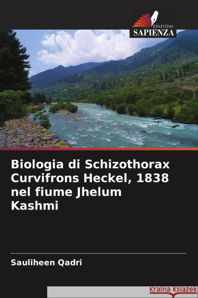 Biologia di Schizothorax Curvifrons Heckel, 1838 nel fiume Jhelum Kashmi Qadri, Sauliheen 9786204870496 Edizioni Sapienza - książka