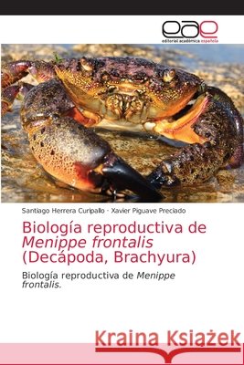 Biología reproductiva de Menippe frontalis (Decápoda, Brachyura) Santiago Herrera Curipallo, Xavier Piguave Preciado 9786203033274 Editorial Academica Espanola - książka