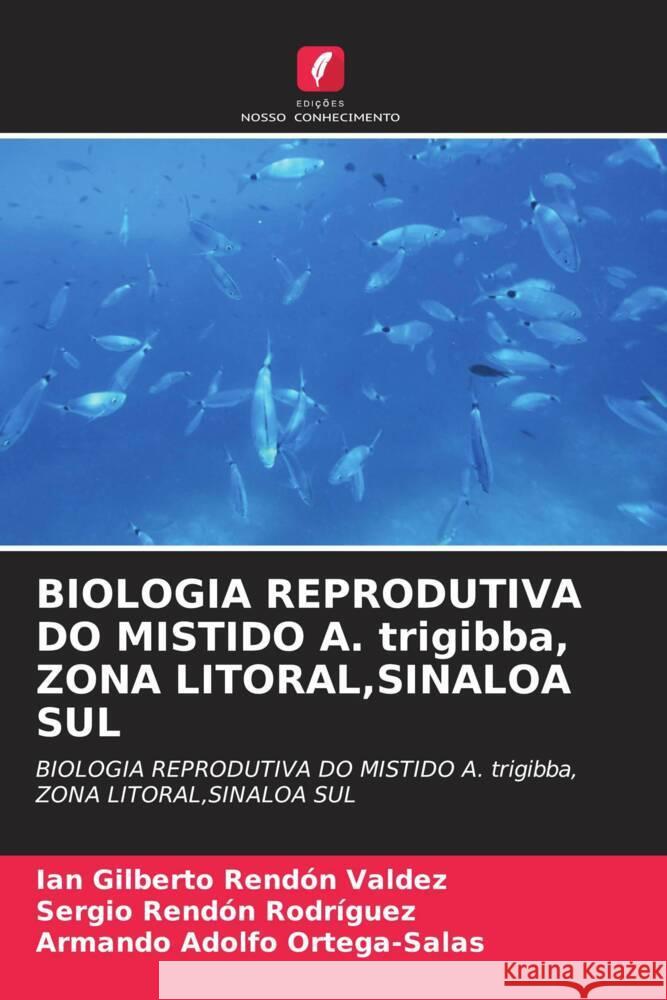 BIOLOGIA REPRODUTIVA DO MISTIDO A. trigibba, ZONA LITORAL,SINALOA SUL Rendón Valdez, Ian Gilberto, Rendón Rodríguez, Sergio, Ortega-Salas, Armando Adolfo 9786204555034 Edições Nosso Conhecimento - książka